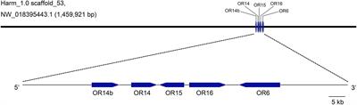 An Orphan Pheromone Receptor Affects the Mating Behavior of Helicoverpa armigera